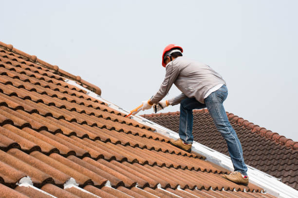 Best Sheet Metal Roofing  in David City, NE