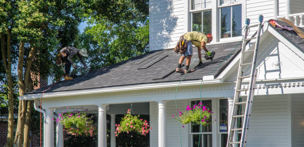 Best Roofing for New Construction  in David City, NE